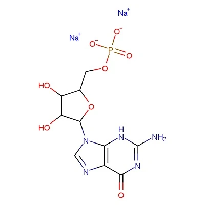1ton 5550-12-9 Disodium Guanosine 5′-phosphate C10H12N5Na2O8P