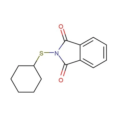 25 KG Antiscorching Agent CTP（PVI）| CAS 17796-82-6